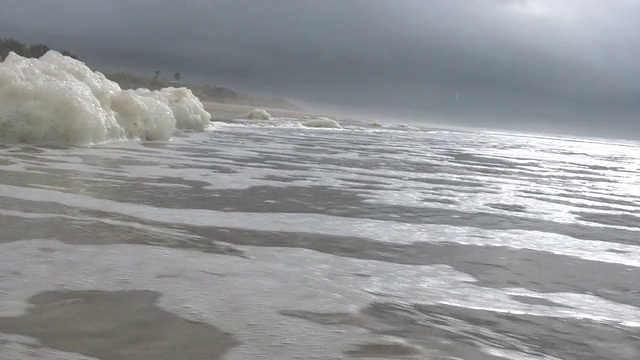 污染在海滩视频下载