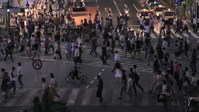 夜间繁忙的斑马线视频素材