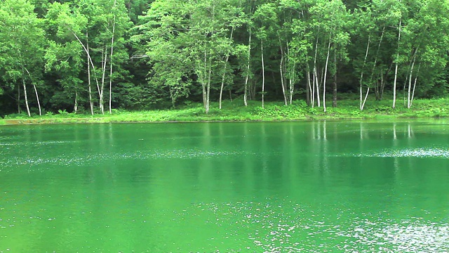 高原上的风延伸到湖边视频素材