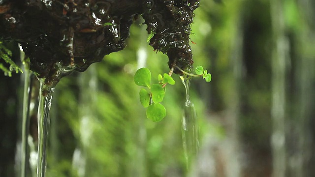 雨季湿工厂特写视频素材