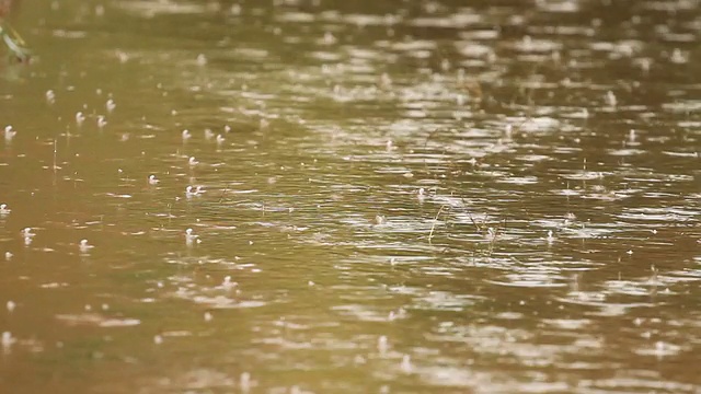 雨视频素材