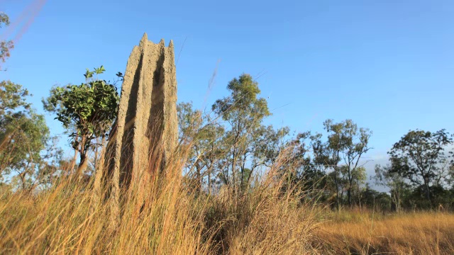 澳洲白蚁丘高清时光流逝视频素材