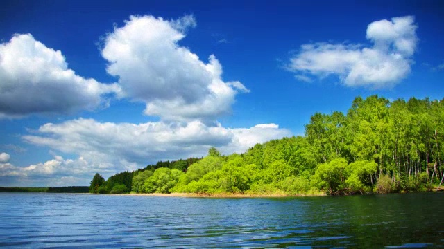 夏季景观与森林湖视频素材