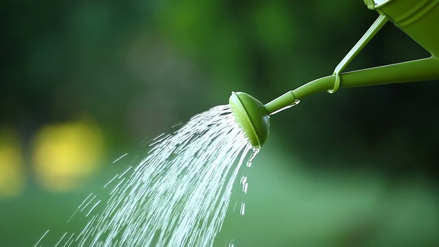 浇水全高清视频素材