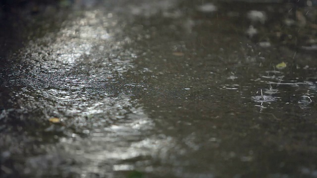 大雨淋浴视频素材