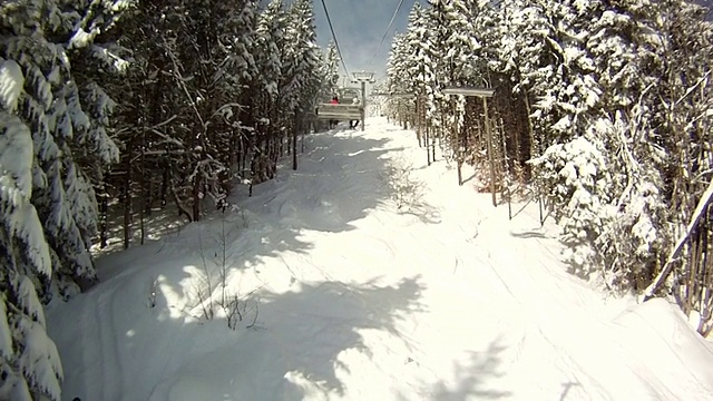 雪地上的树木视频素材