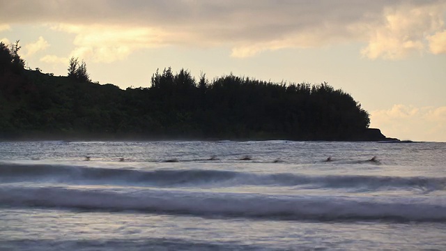 海滩时间流逝冲浪者视频素材