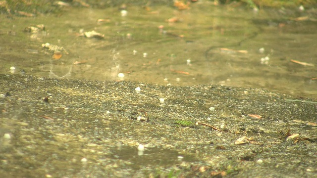 冰雹风暴视频下载