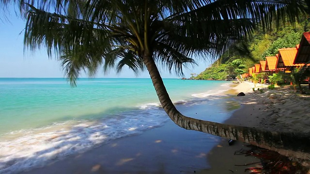 美丽的海景热带海滩，碧水蓝天。视频素材