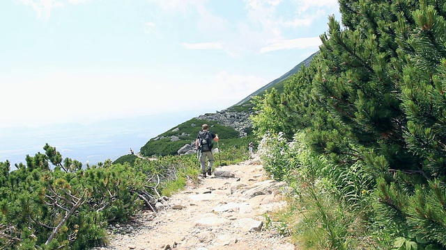 年轻人在山里徒步旅行视频素材