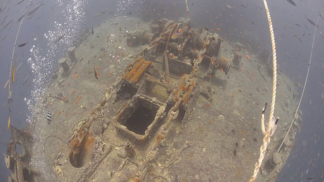 沉船和海洋生物视频素材