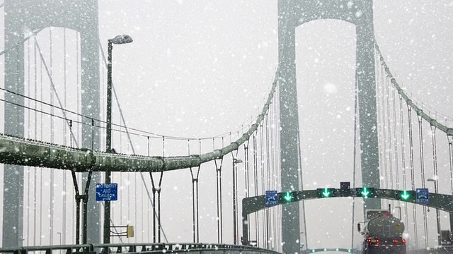 在暴风雪中的桥视频下载