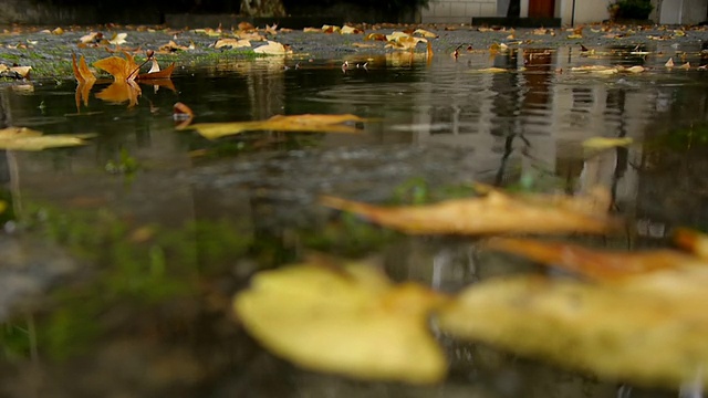 秋雨-街道水坑视频素材