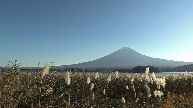 日本山梨县富士山和川口湖的秋季景观视频素材