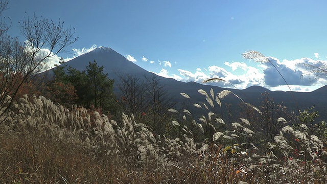 日本山梨县富士山的秋季景观视频素材