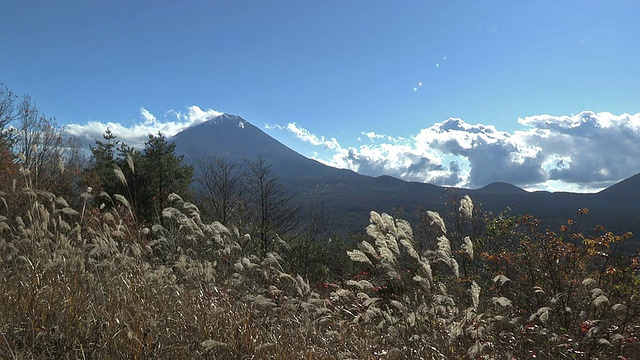 日本山梨县富士山的秋季景观视频素材