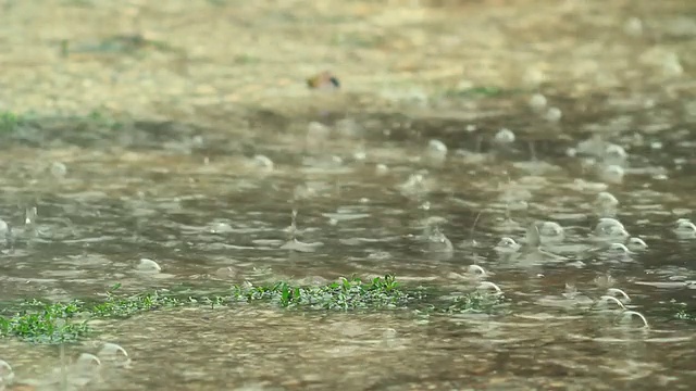 暴雨视频素材