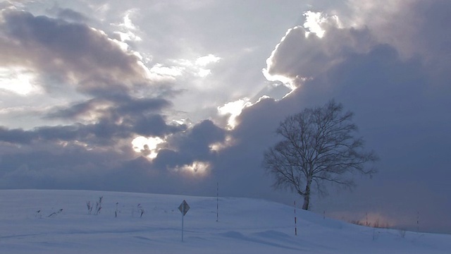 日本北海道，日落时分，北北的雪地视频素材