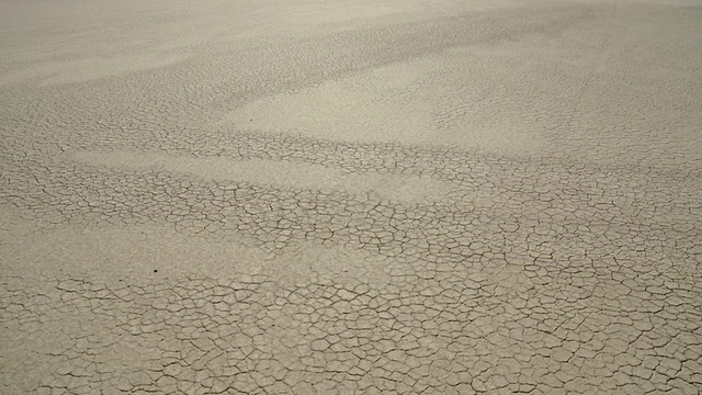 盐田、阿根廷视频素材