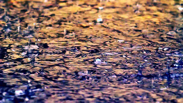 瓢泼大雨视频素材