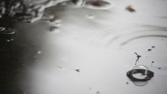 雨滴视频素材