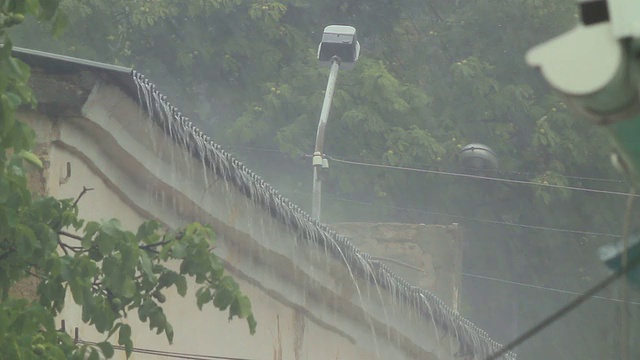 大雨视频素材