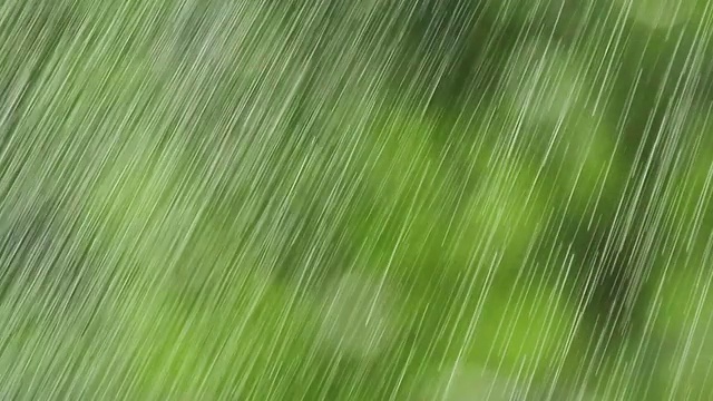 雨视频素材