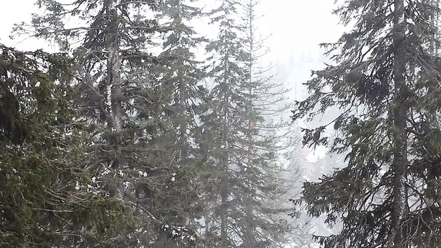 暴风雪视频素材