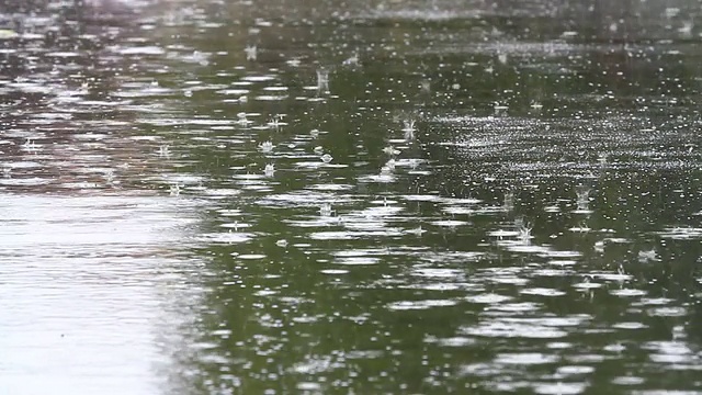 城市中的雨视频素材