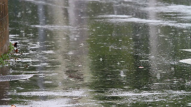 城市中的雨视频素材