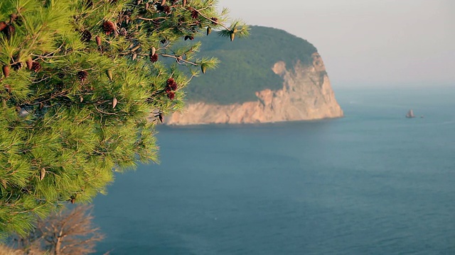 夏季海岸全景图视频素材