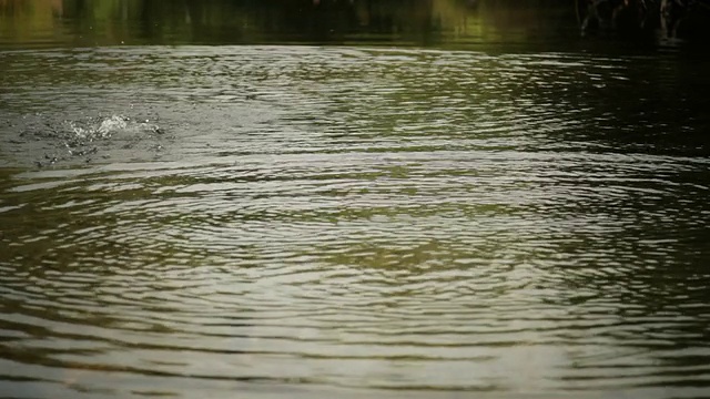 水飞溅!视频素材