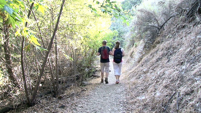 一对夫妇在远离摄像机的小道上徒步旅行视频素材