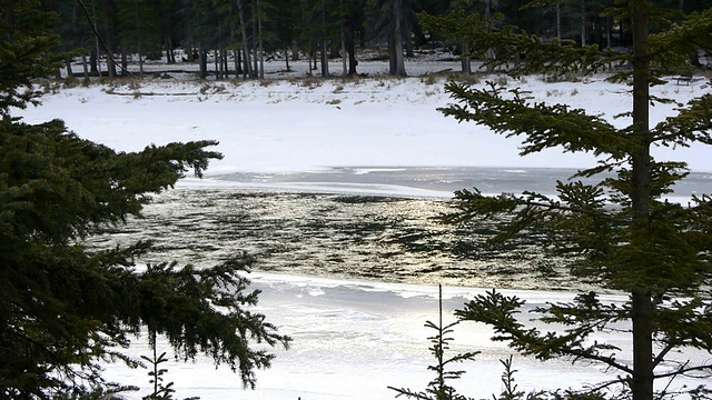 河水在雪地里流淌视频素材