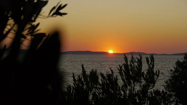 美丽的夕阳从树叶后面视频素材