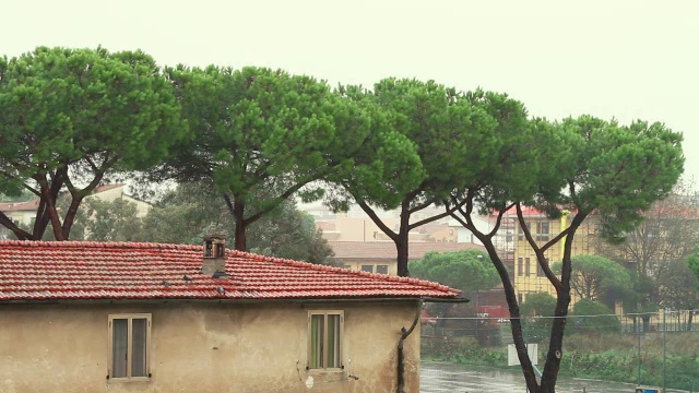 城市中的雨视频素材