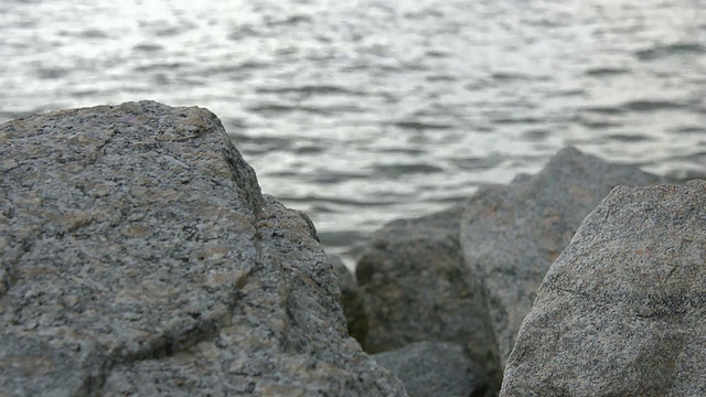 河流岩石视频素材