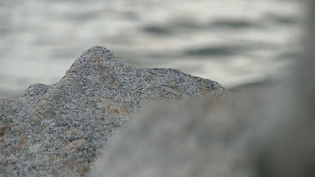 岩石海岸视频素材