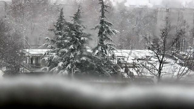 雪暴风雪视频素材