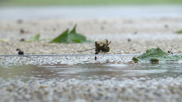 雨水坑视频素材