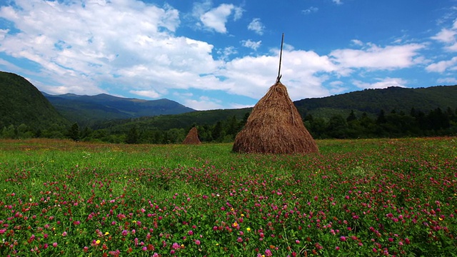 夏季景观与小屋视频素材