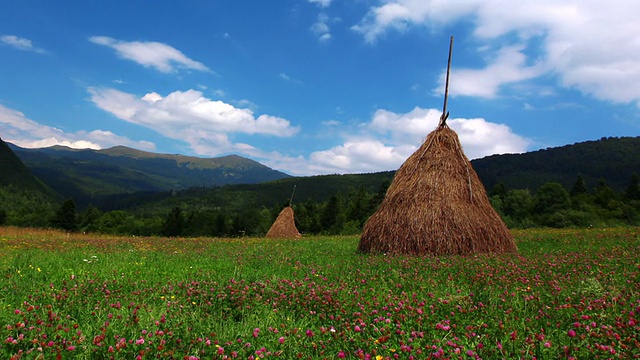 夏季景观与小屋。间隔拍摄视频素材