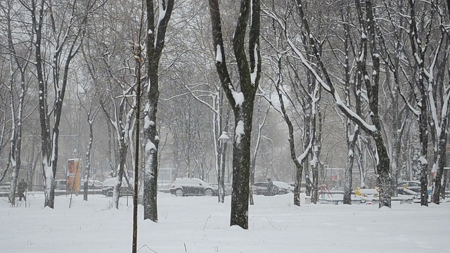 降雪。视频素材