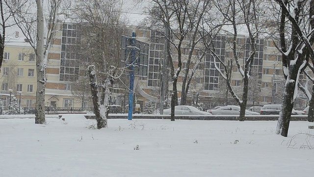 降雪。视频素材