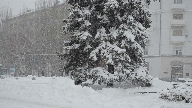 降雪。视频素材