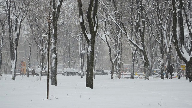 降雪。视频素材