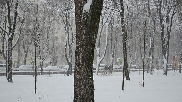 降雪。视频素材