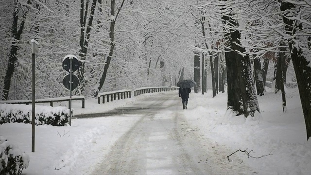 男人在下雪的乡村撑伞视频素材