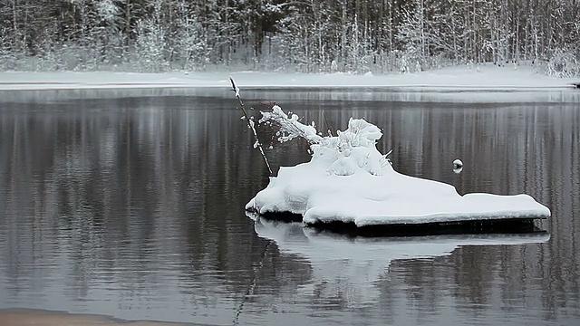 岛上有雪，湖上有树枝视频素材