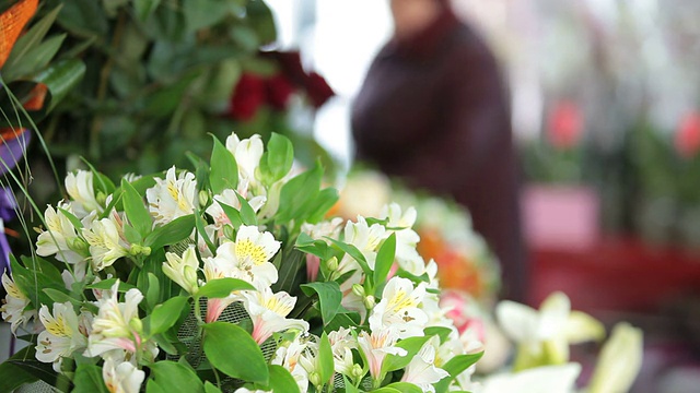 花店视频素材